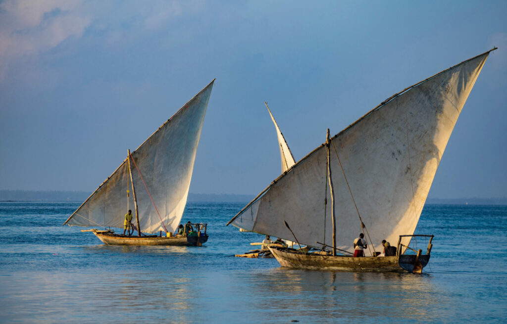skippers course de dhows large Shela Lamu
