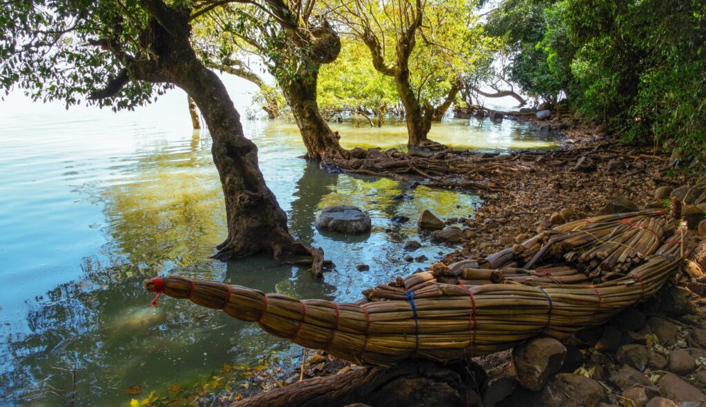 Bateau traditionnel en papyrus sur la côte du lac Tana en Ethiopie.