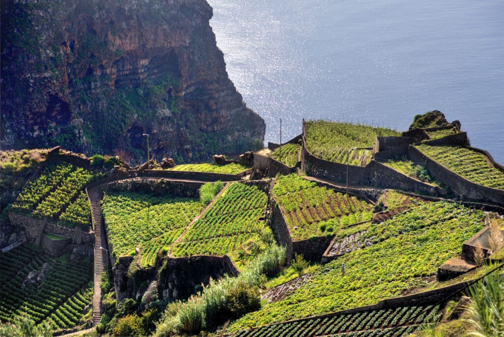 South,Coast,Of,Madeira,Island, ,Portugal