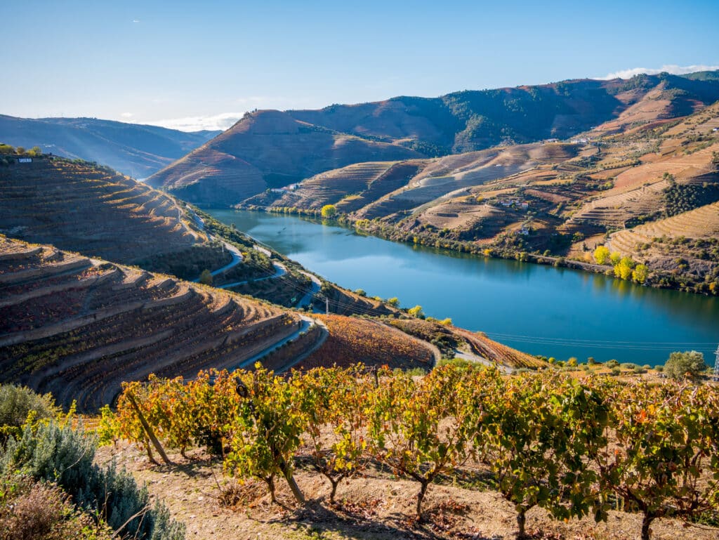 Douro,River,And,Wine