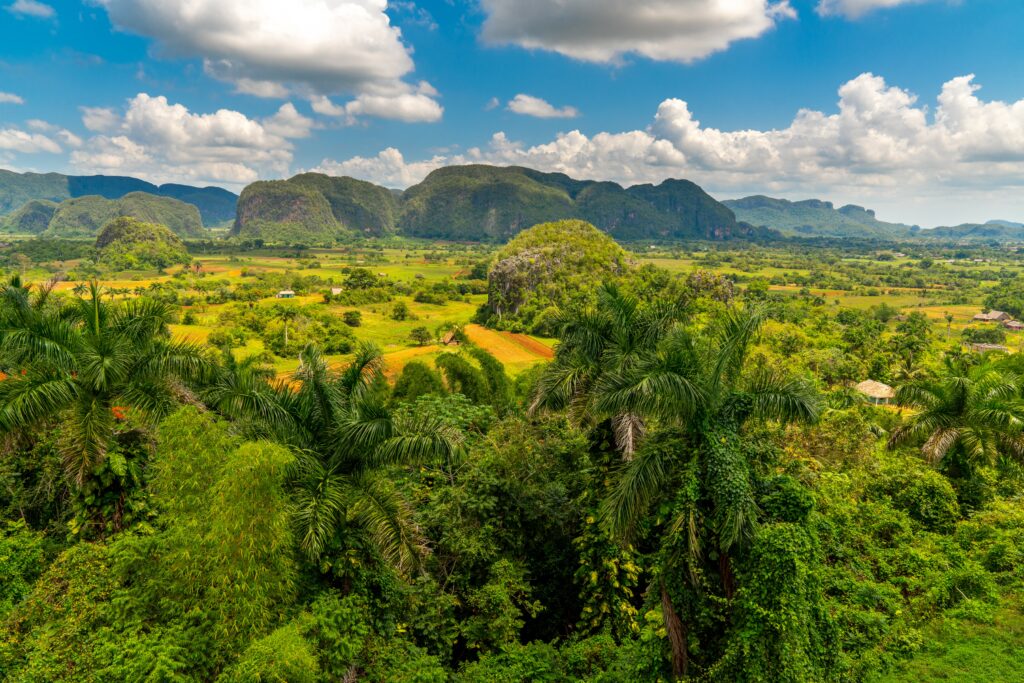vue panoramique sur les mogotes du parc national des Vinales Cuba