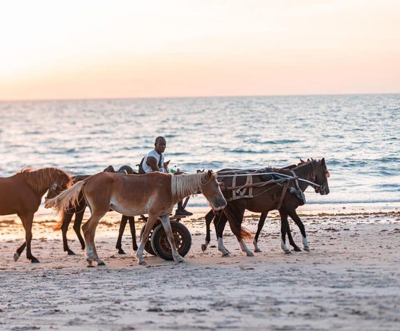 yokan lodge activite randonnee cheval plage