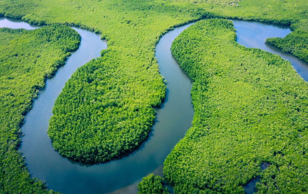 Vue aerienne amazone foret amazonienne Bresil