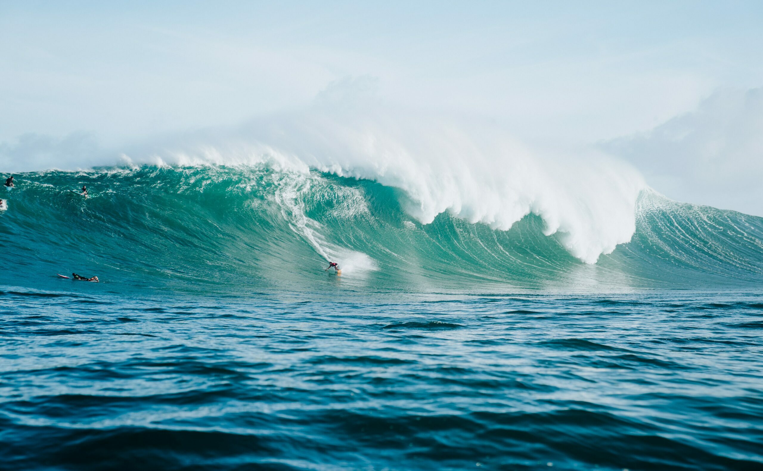 Sur les vagues du Pacifique 