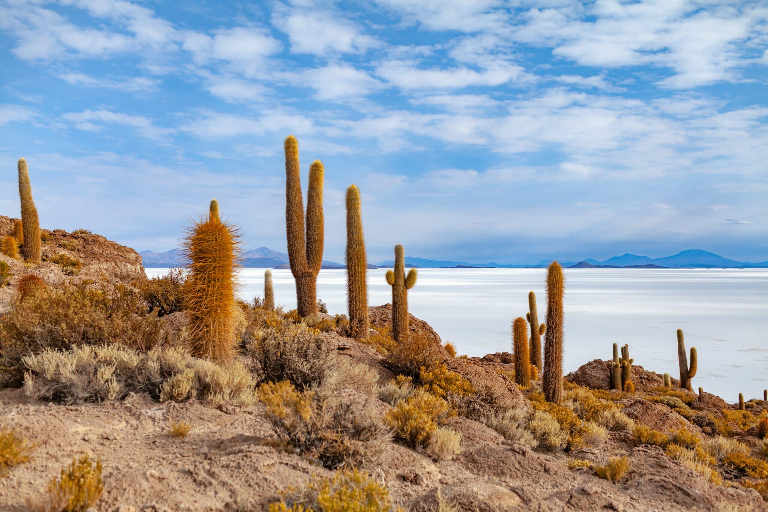 Amerique Latine   Bolivie   Salar d'Uyuni