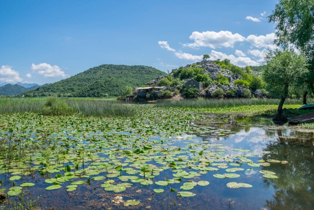 iles skadar lac montenegro ruines
