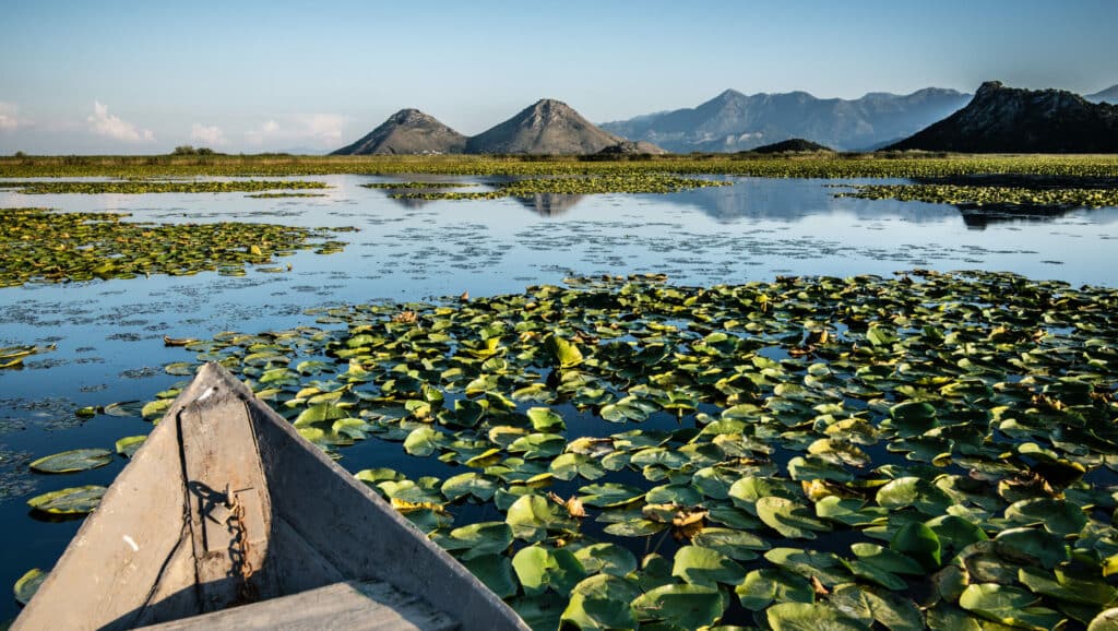 Wooden,Boat,In,The,Water,Lilies,On,Skadar,Lake