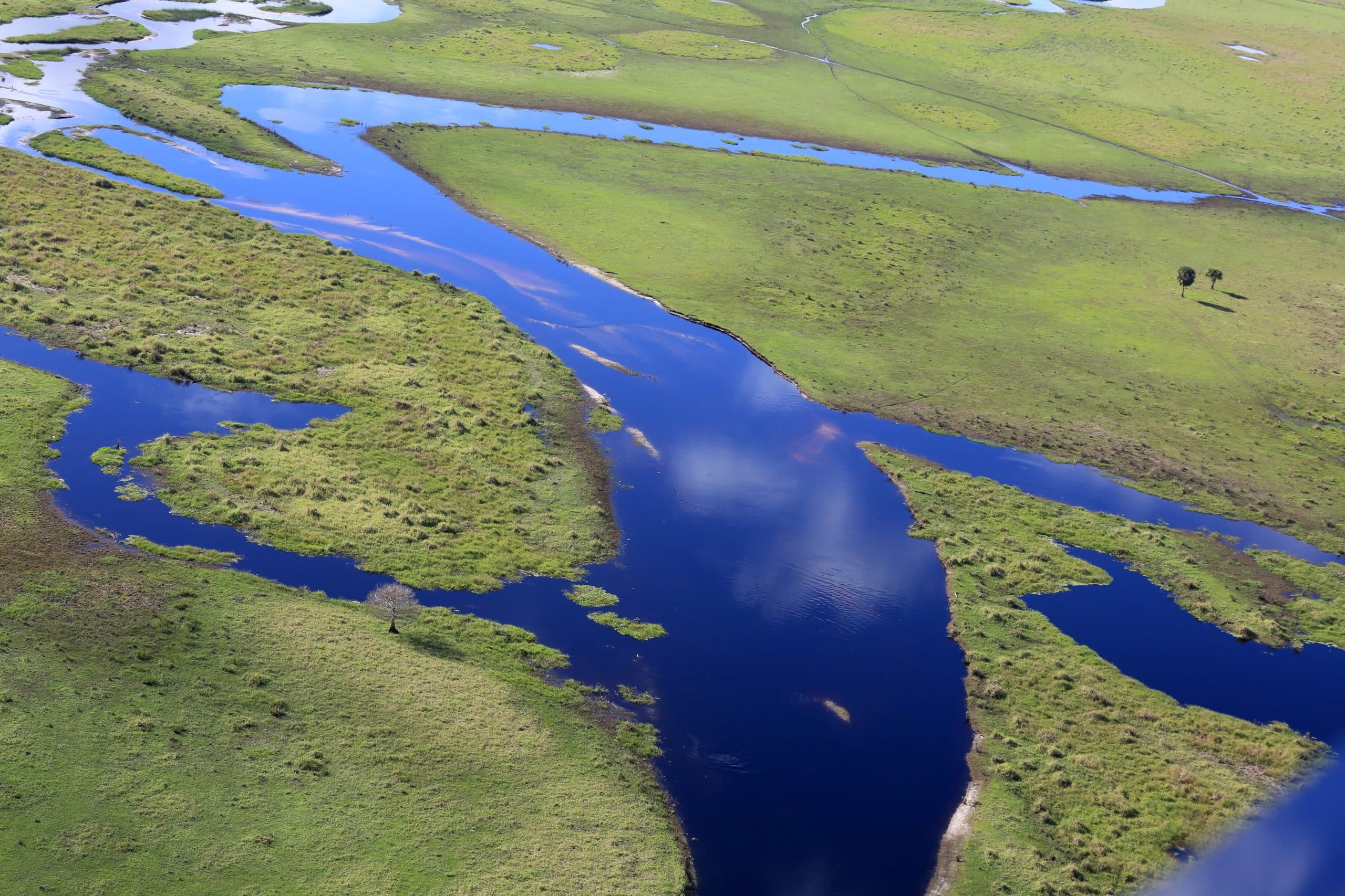 Everglades La Floride en famille Etats Unis