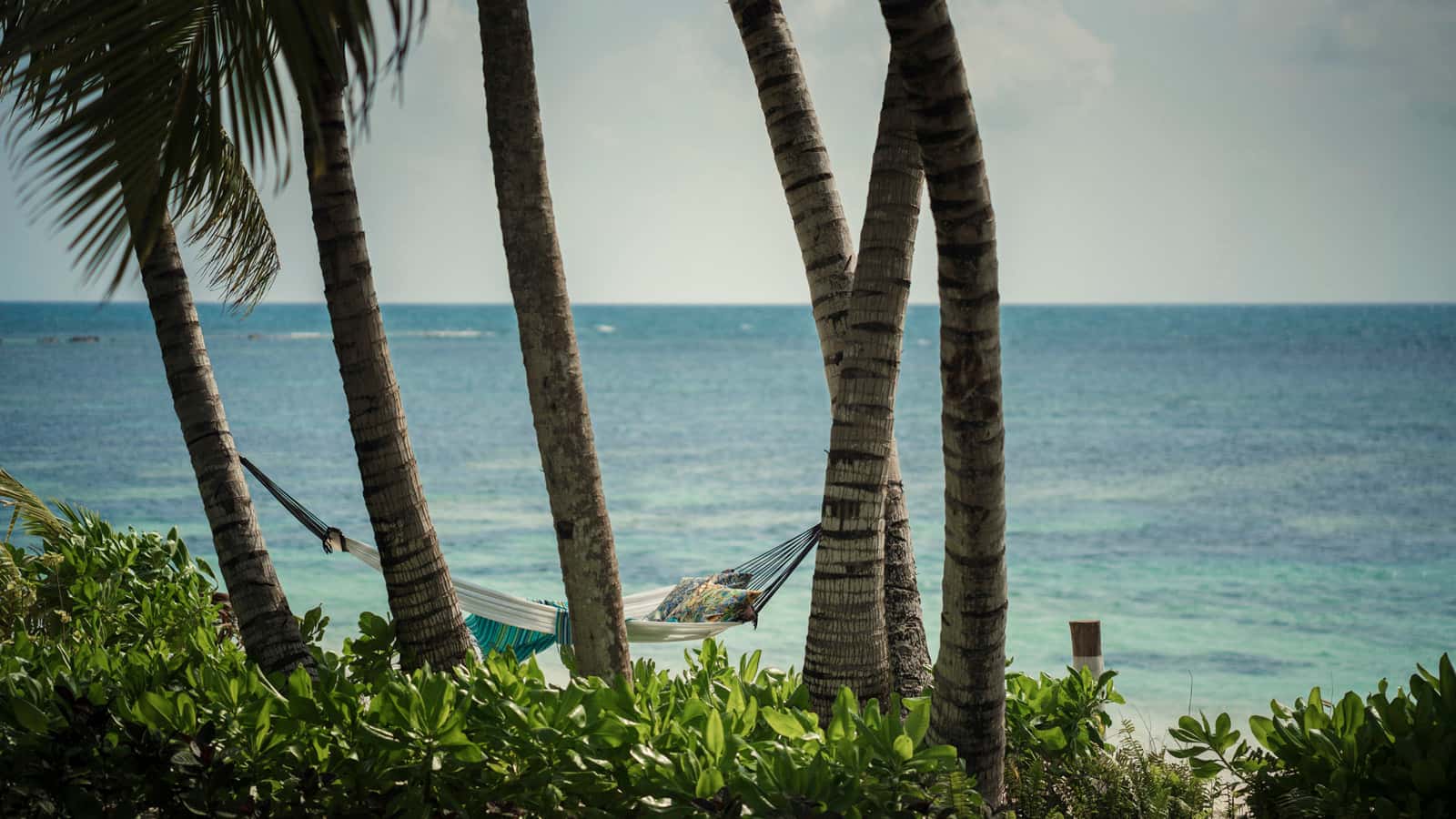Hamac plage Four seasons Desroches island seychelles