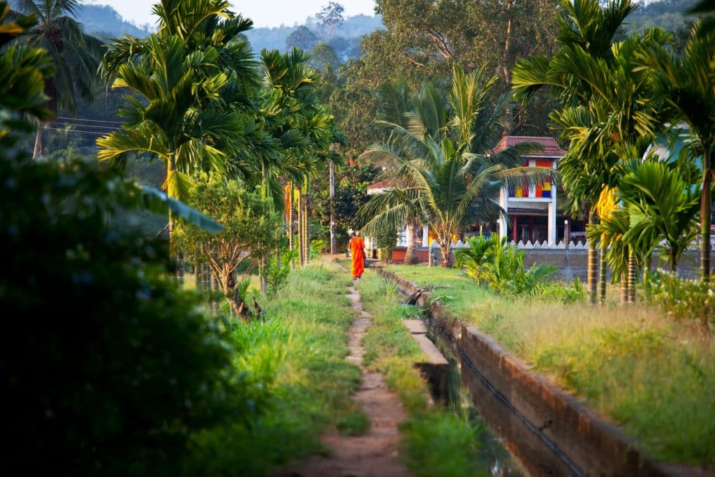Temple,In,Jungle,,Sri,Lanka.