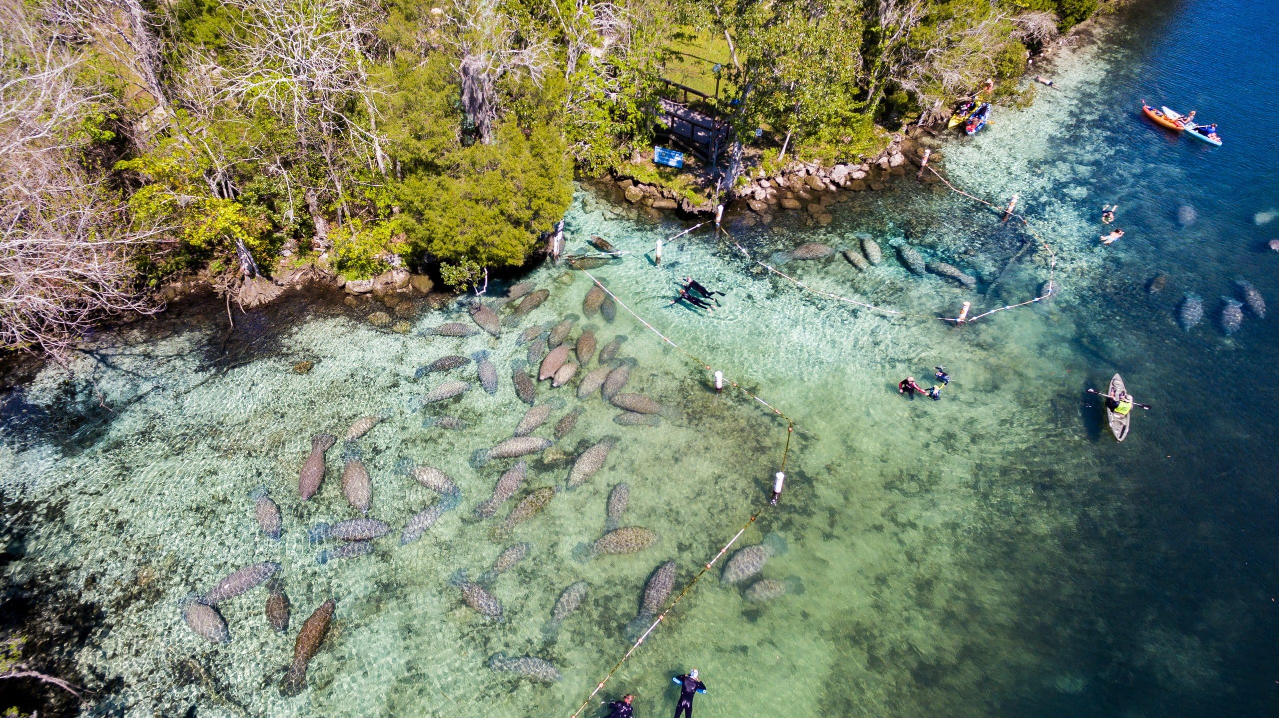 La Floride en famille crystal river Etats Unis