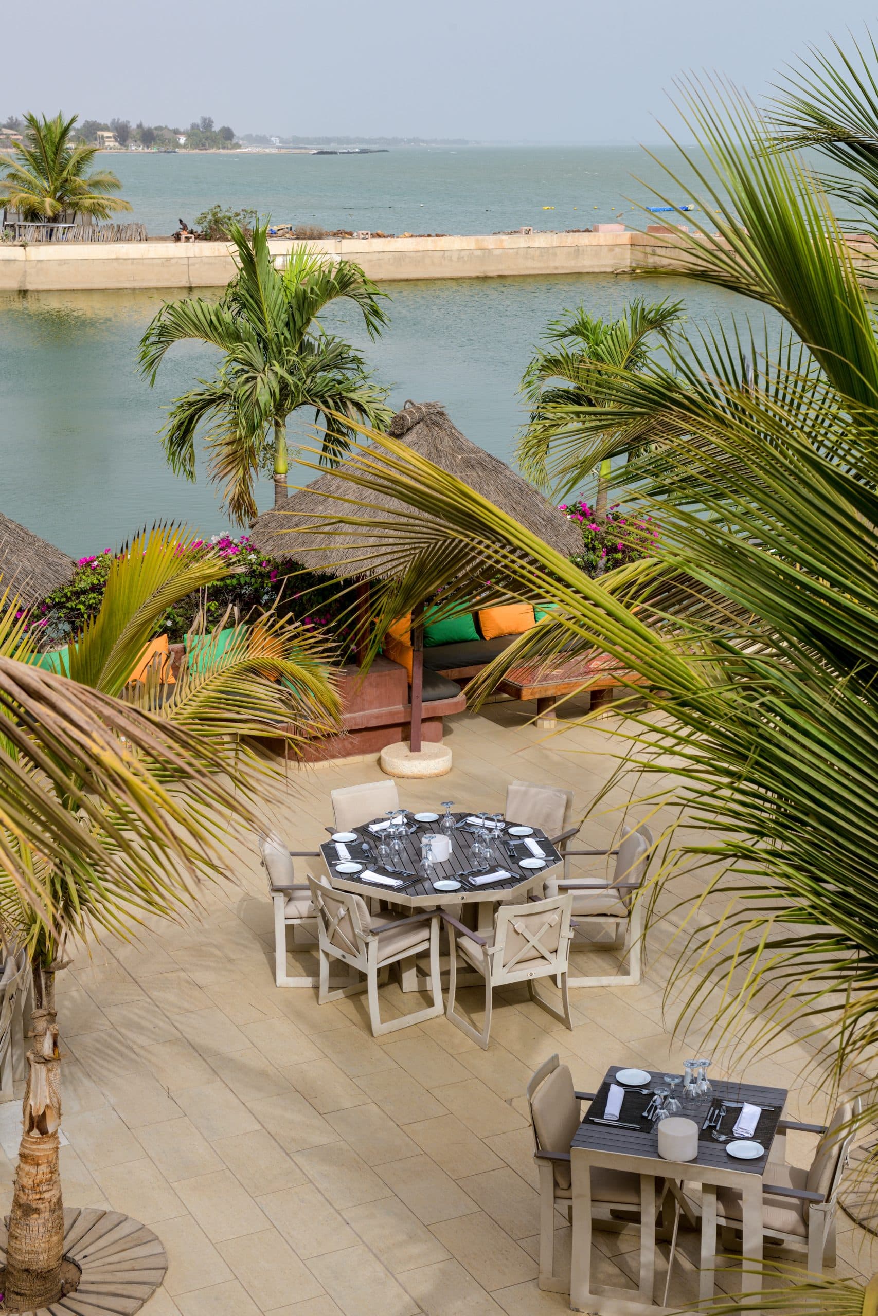 Le lamantin senegal terrasse