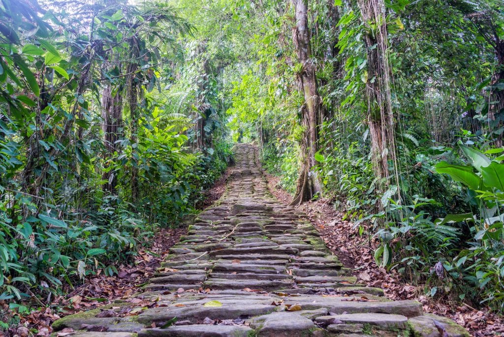 Stone,Stairs,In,The,Jungle,At,Ciudad,Perdida,,The,Lost