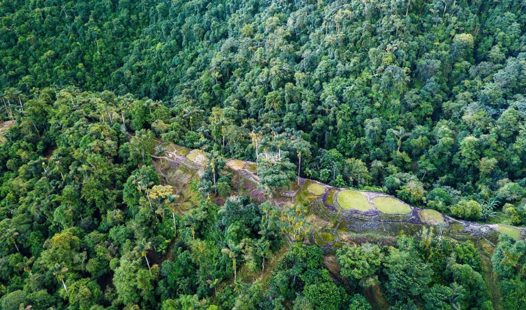 Hidden,Ancient,Ruins,Of,Tayrona,Civilization,Ciudad,Perdida,In,The