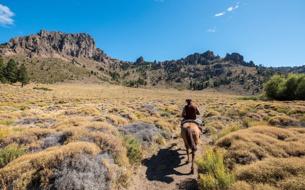 Gaucho,Riding,In,The,Pampa