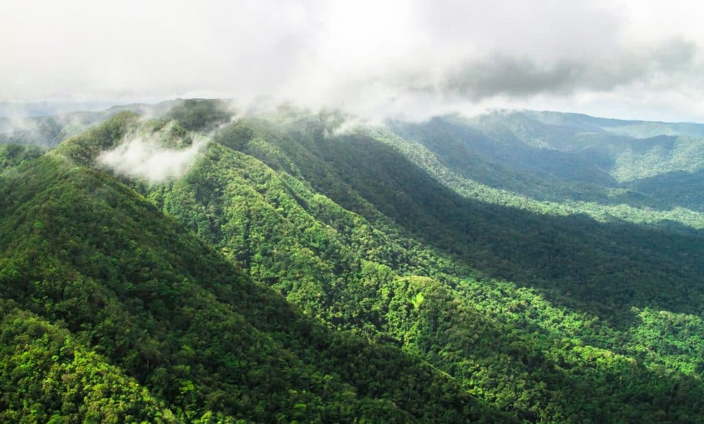 Pristine,Primary,Forest,Dominates,The,Landscape,In,This,Aerial,Shot