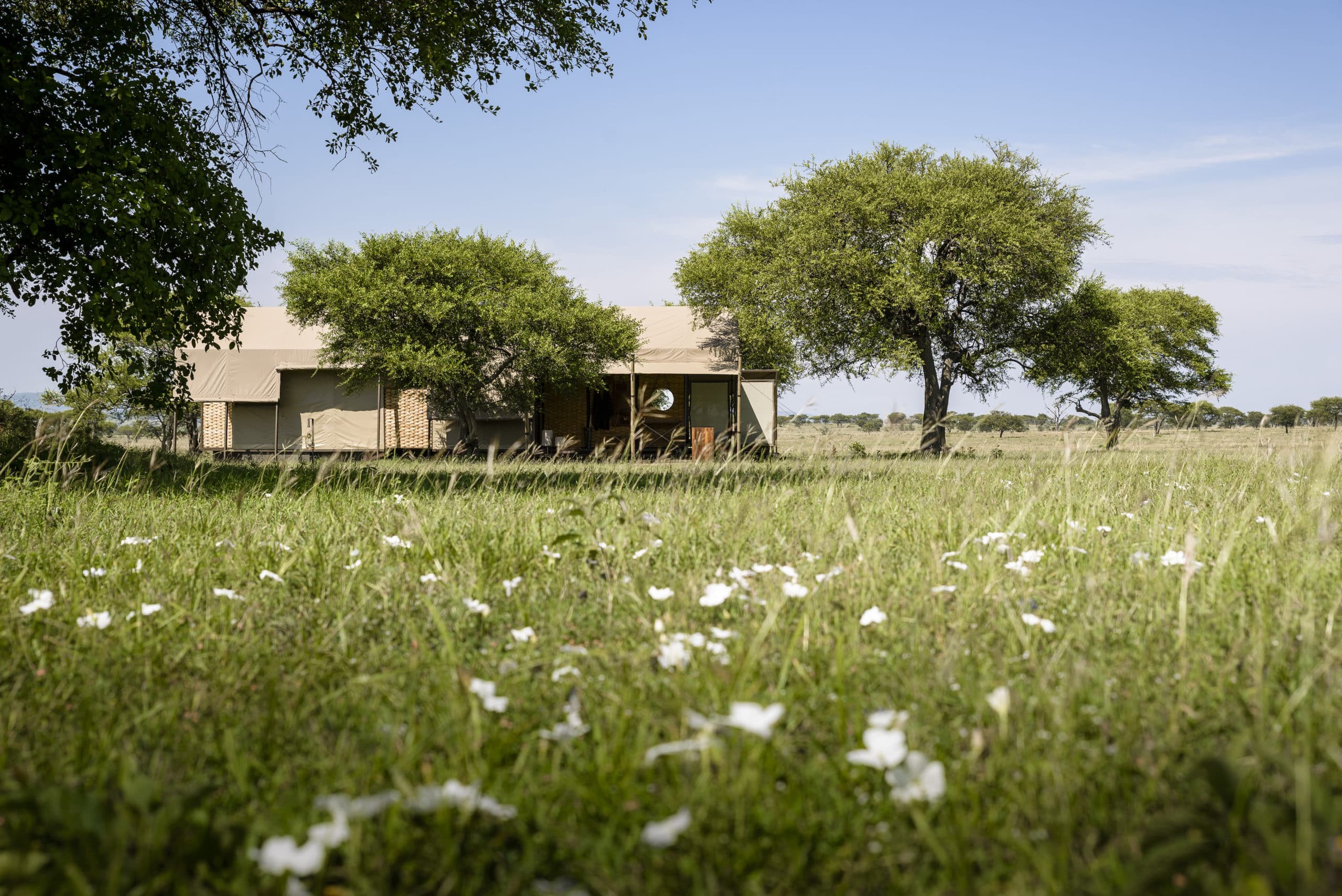 Singita Sabora Tented Camp