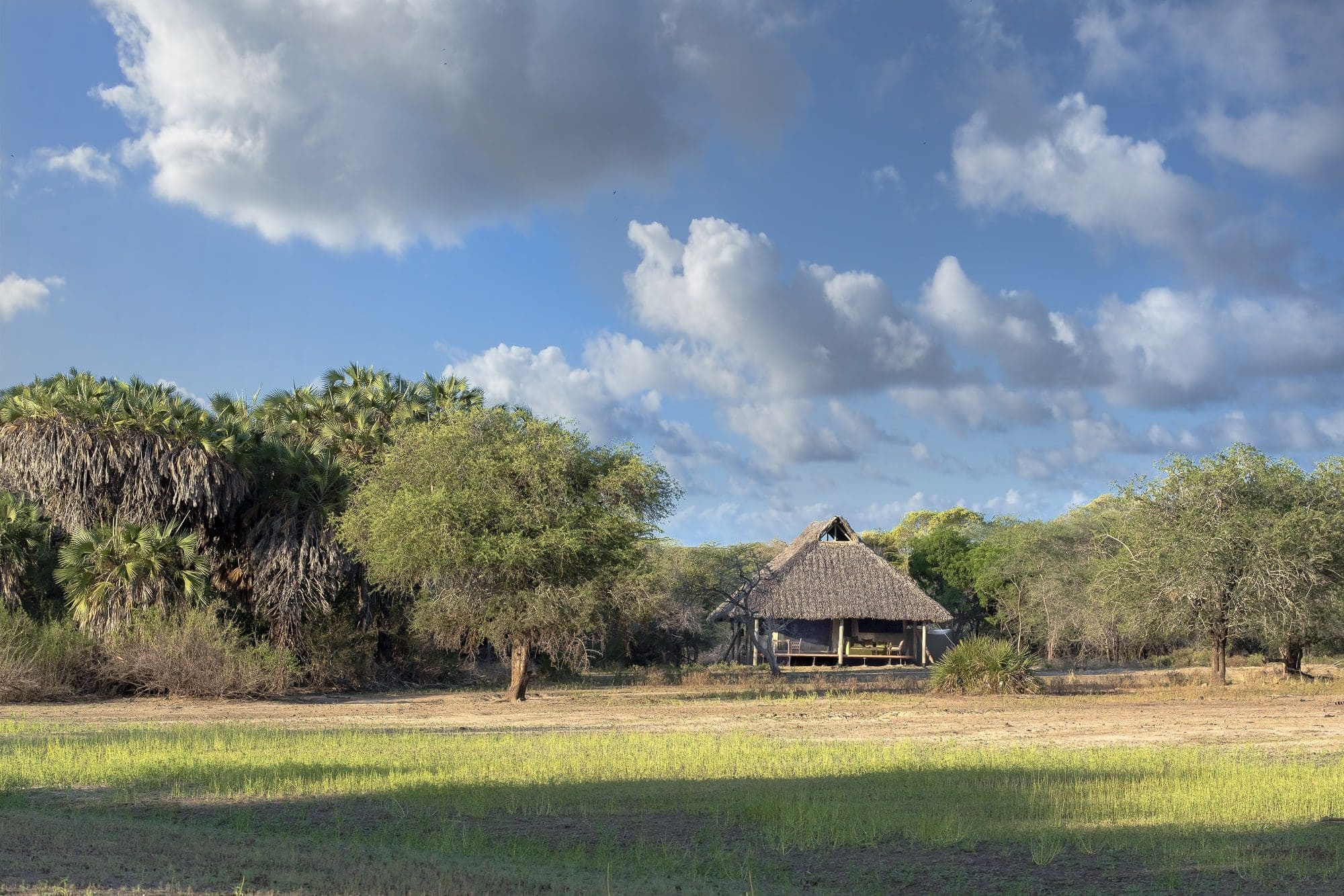 voyages safari tanzanie