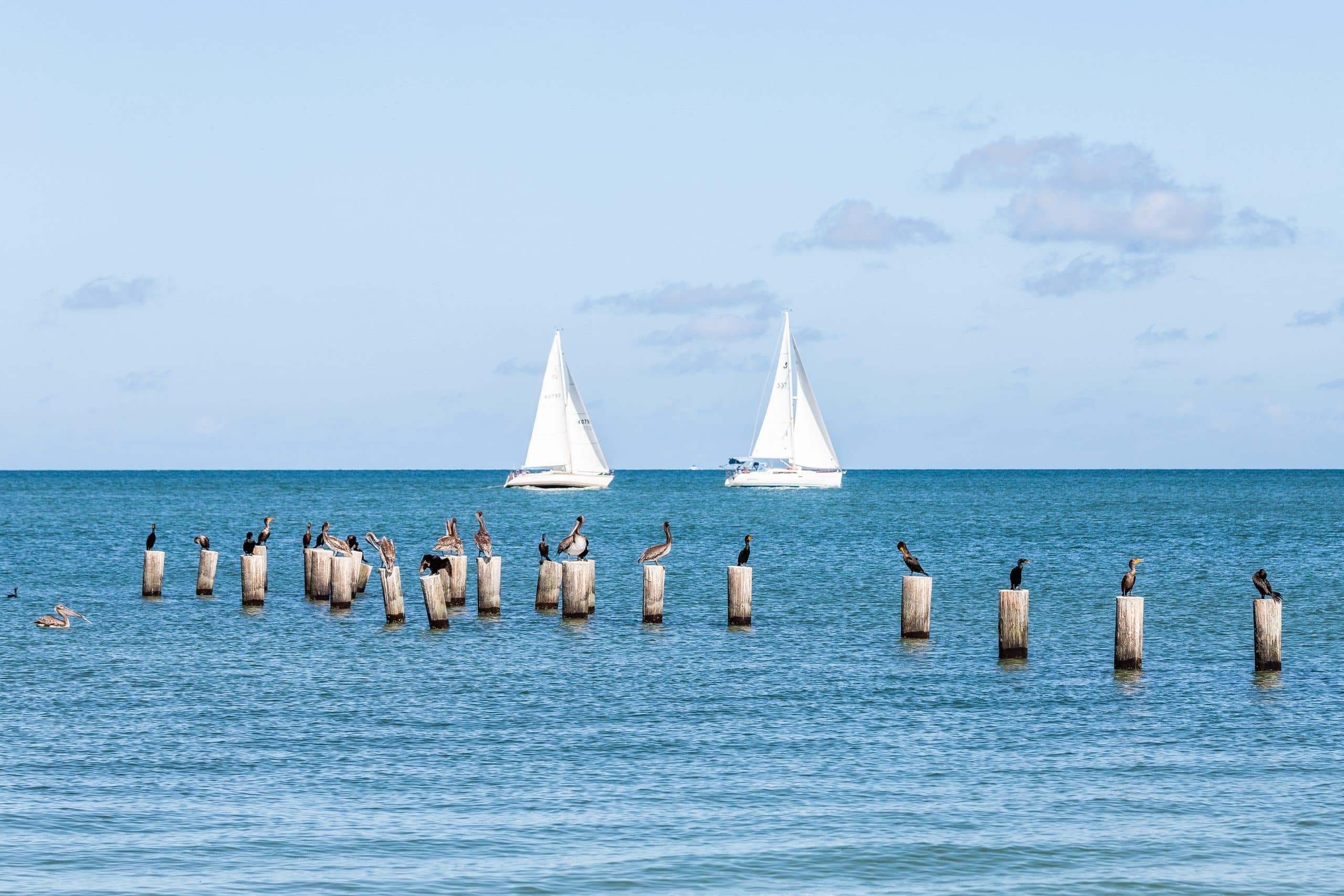 White,Sailboats,Naples,Beach,Florida