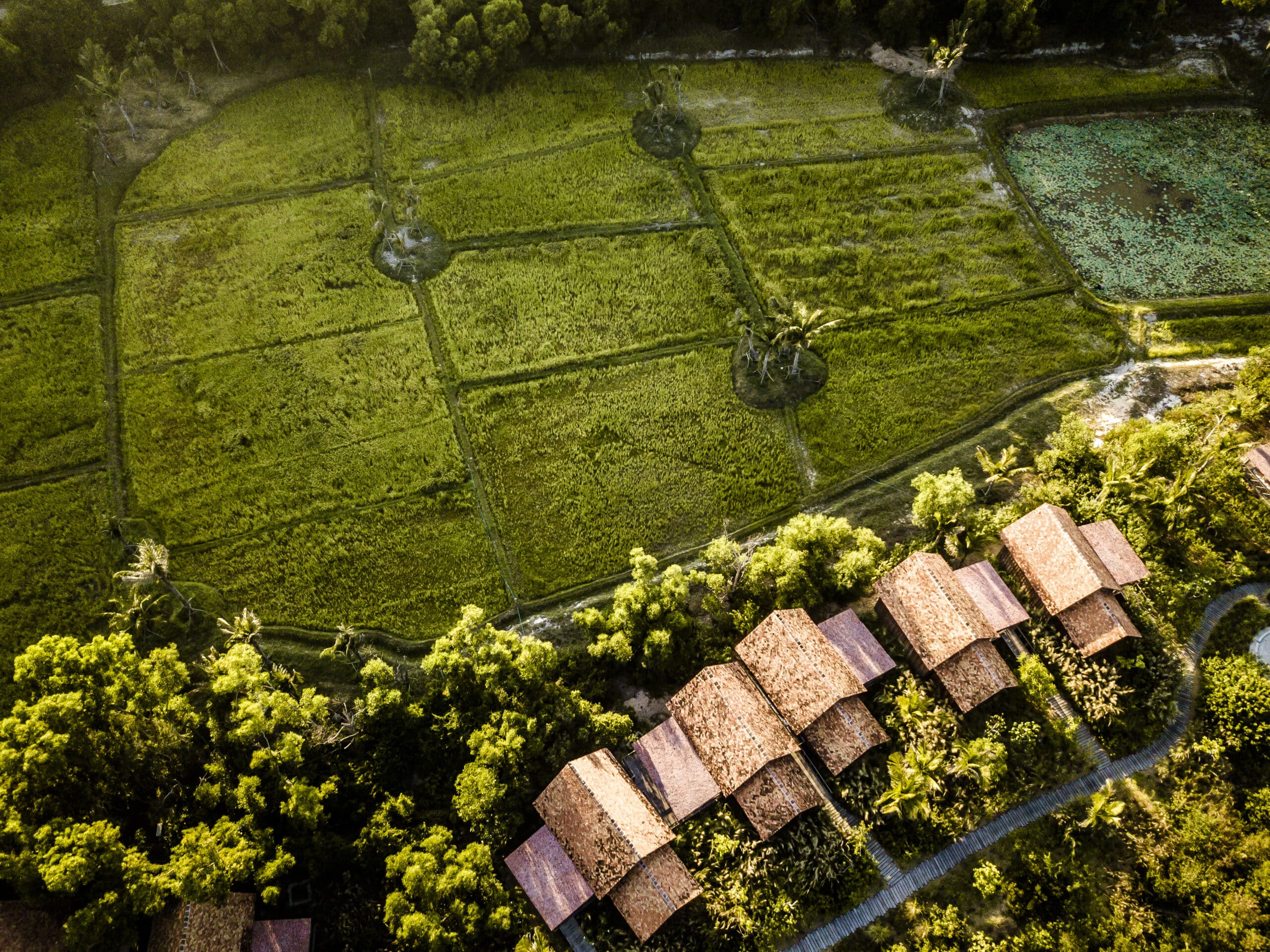 Zannier Hotels Bãi San Hô Rice Paddies 5 ©️ Frederik Wissink for Zannier Hotels scaled