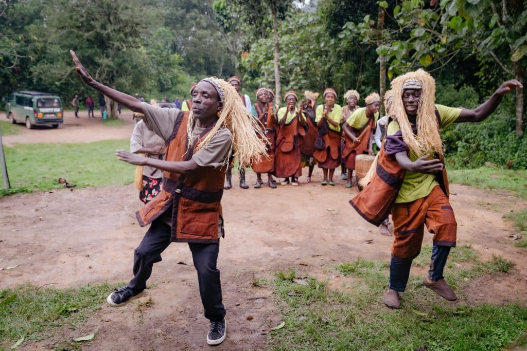Rushaga,,Bwindi,Impenetrable,Forest,National,Park,,Uganda, ,March,24,