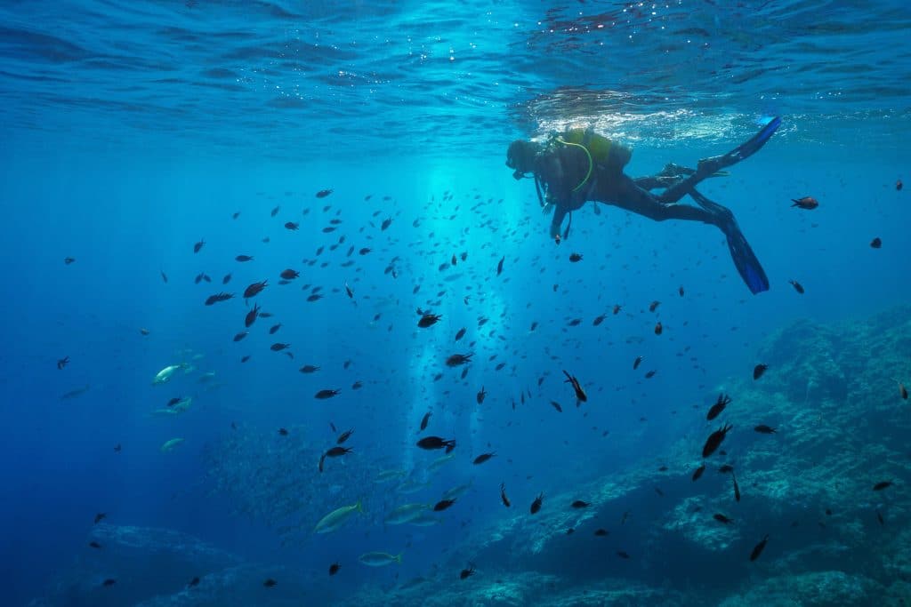 Scuba,Diver,On,Water,Surface,Look,At,Shoal,Of,Fish