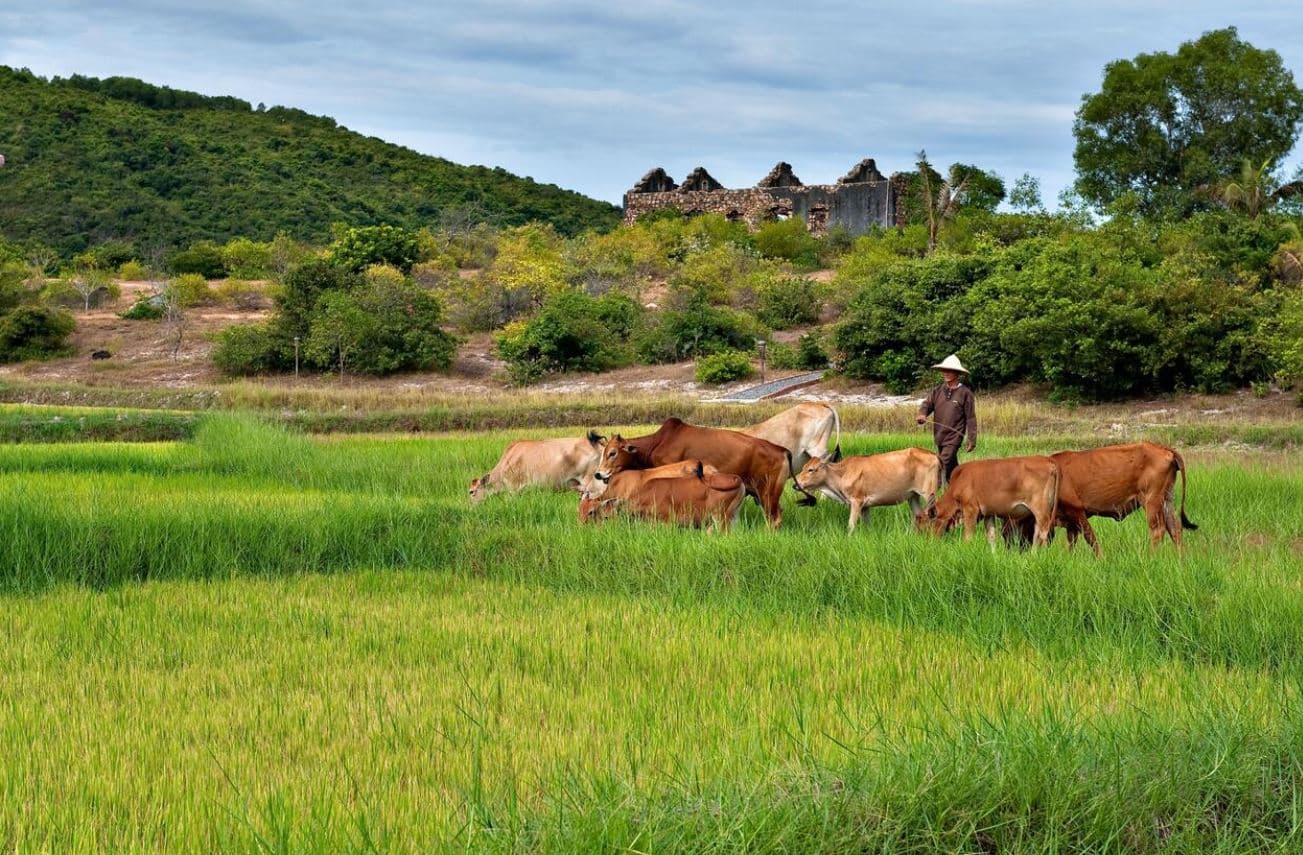 hotel zanier phu yen vietnam