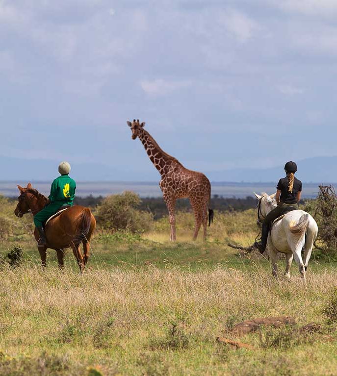 loisaba kenya safari