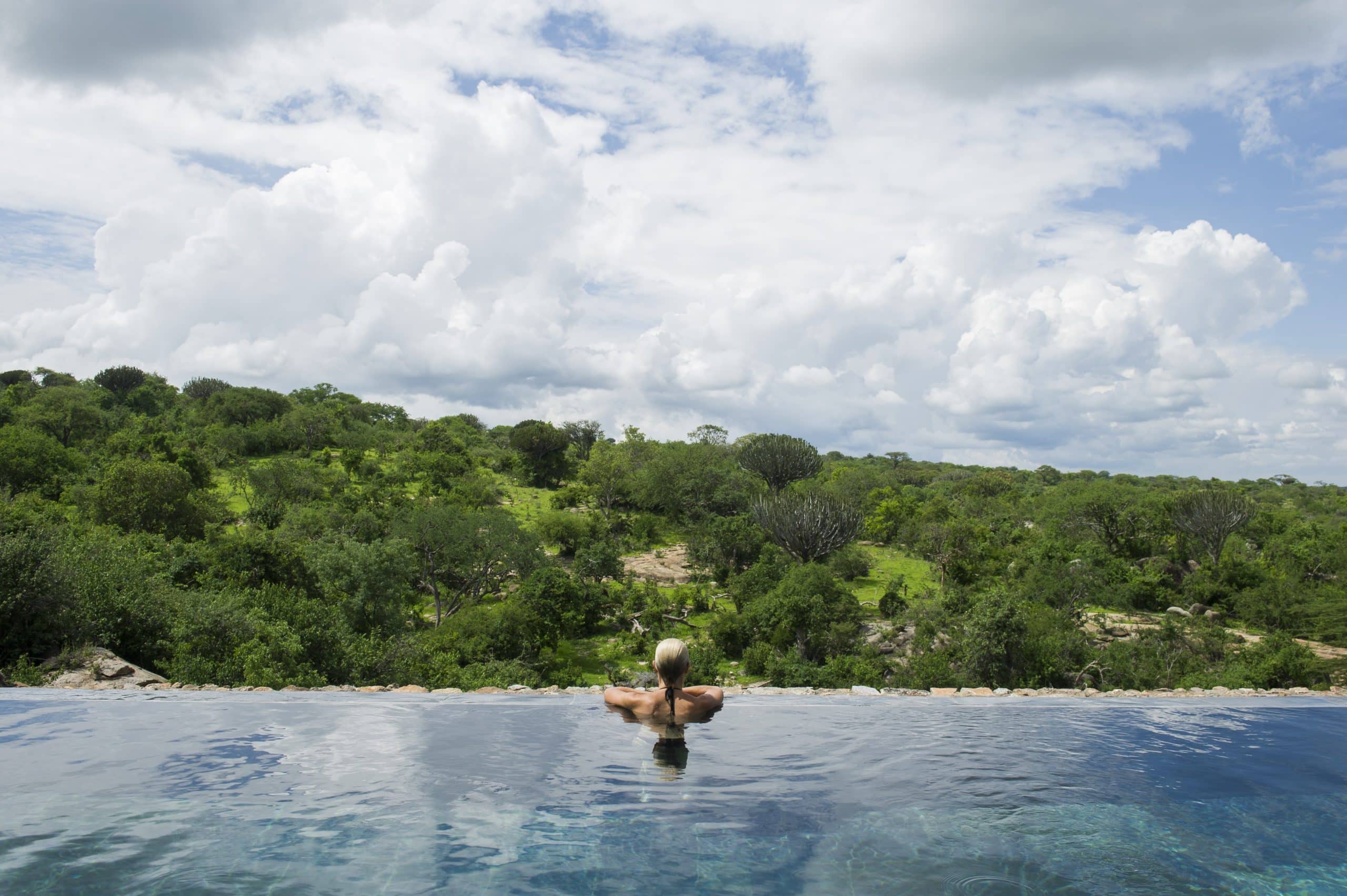 piscine exterieure vue nature foret lodge hotel tanzanie