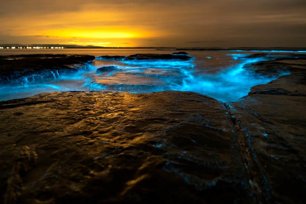 Bioluminescence,At,Night,,Jervis,Bay,,Australia