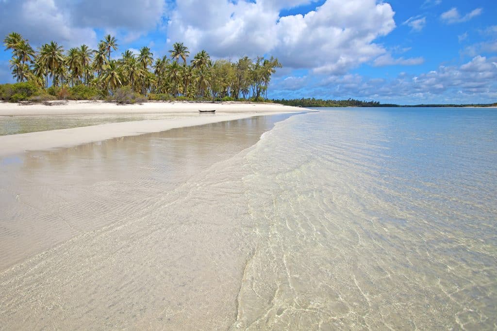 Untouched,Nature,At,Mafia,Island,In,Tanzania