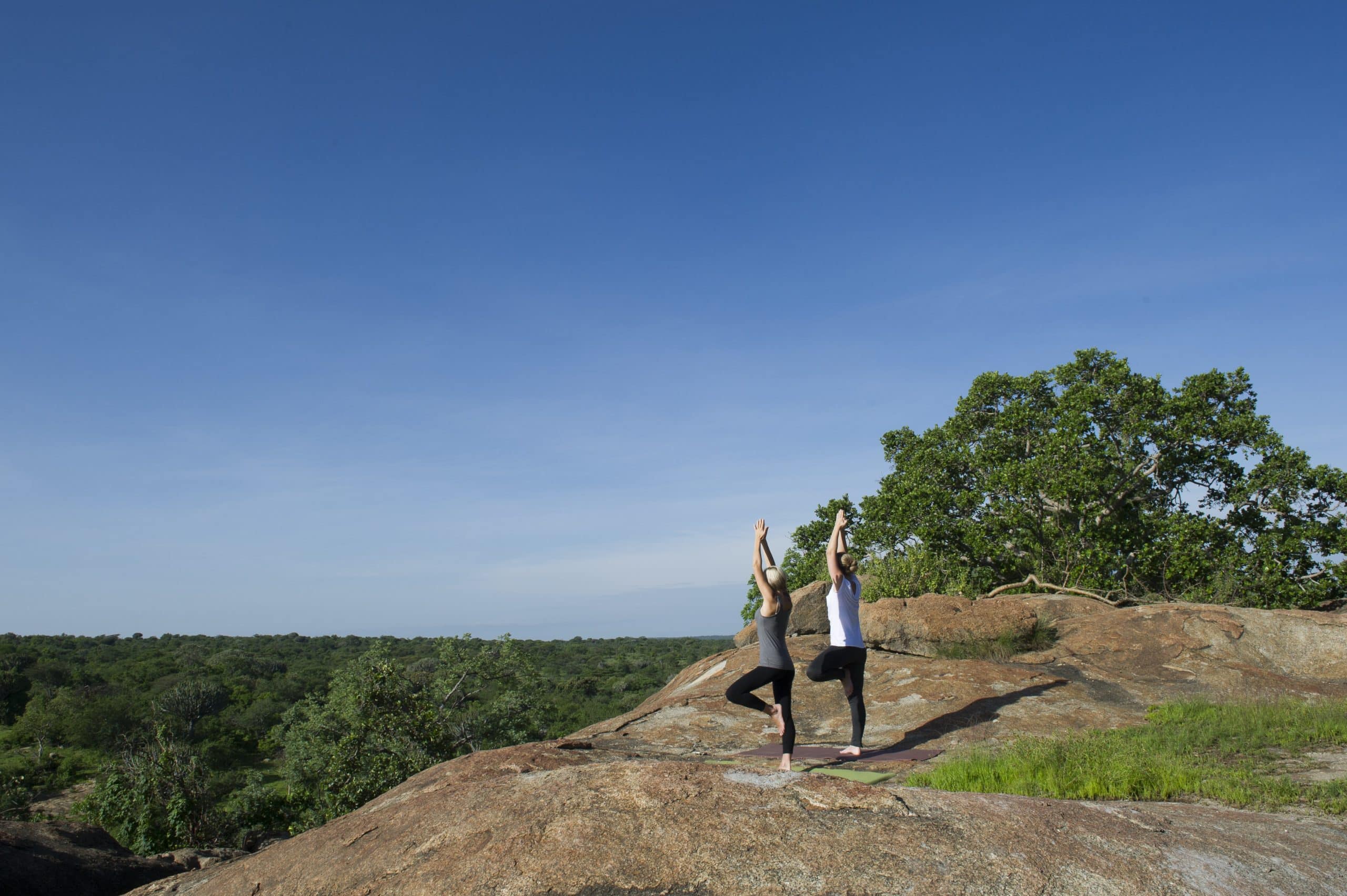 yoga nature foret detente lodge hotel tanzanie