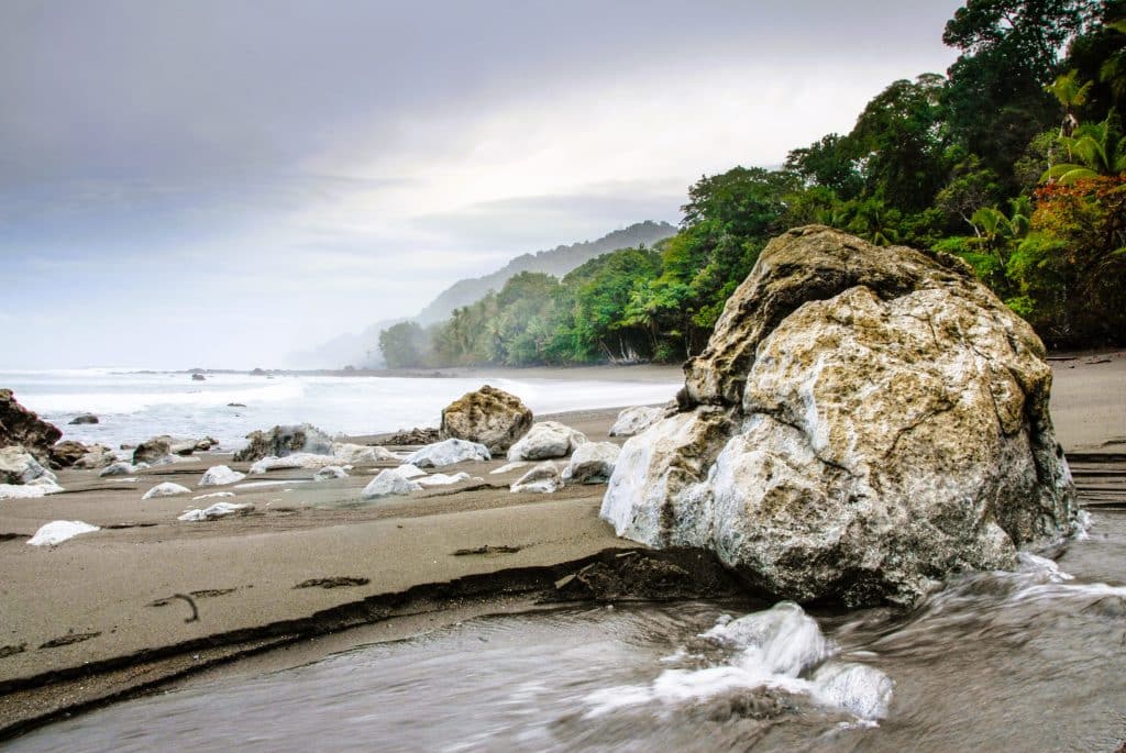 A la rencontre de la faune sauvage du Costa Rica dans le parc national du Corcovado