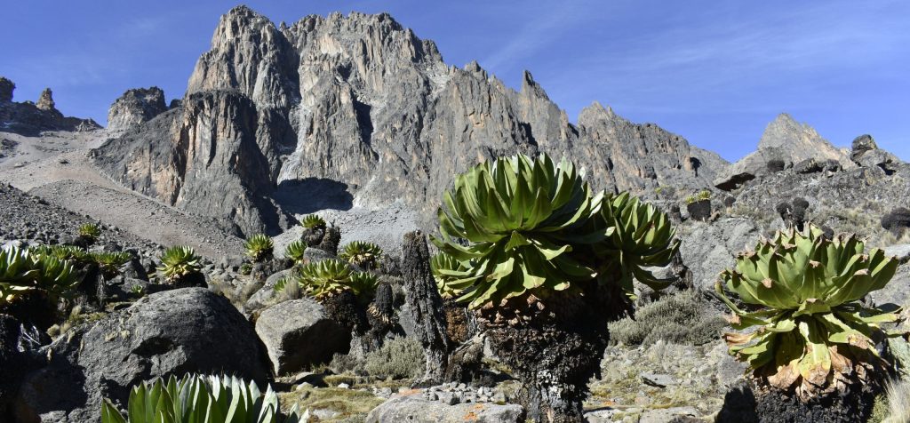 Natural,Landscape,Around,Mt.,Kenya