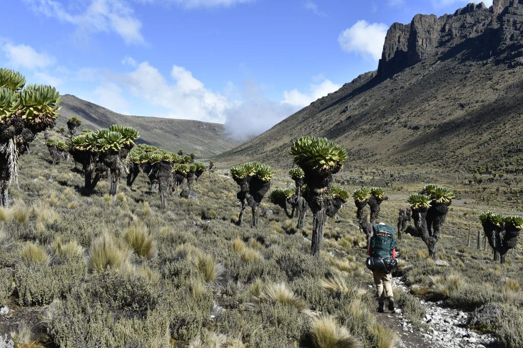 Mountainous,Landscape,Around,Mount,Kenya