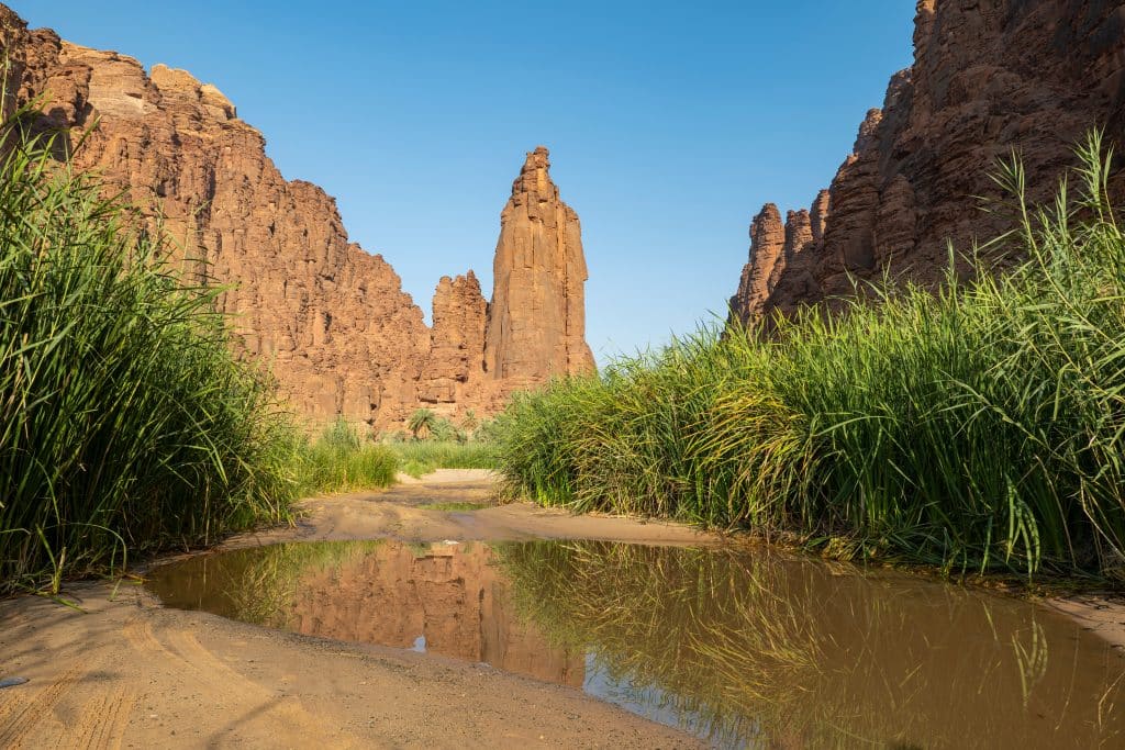 Wadi,Al,Disah,Valley,Views,In,Tabuk,Region,Of,Western