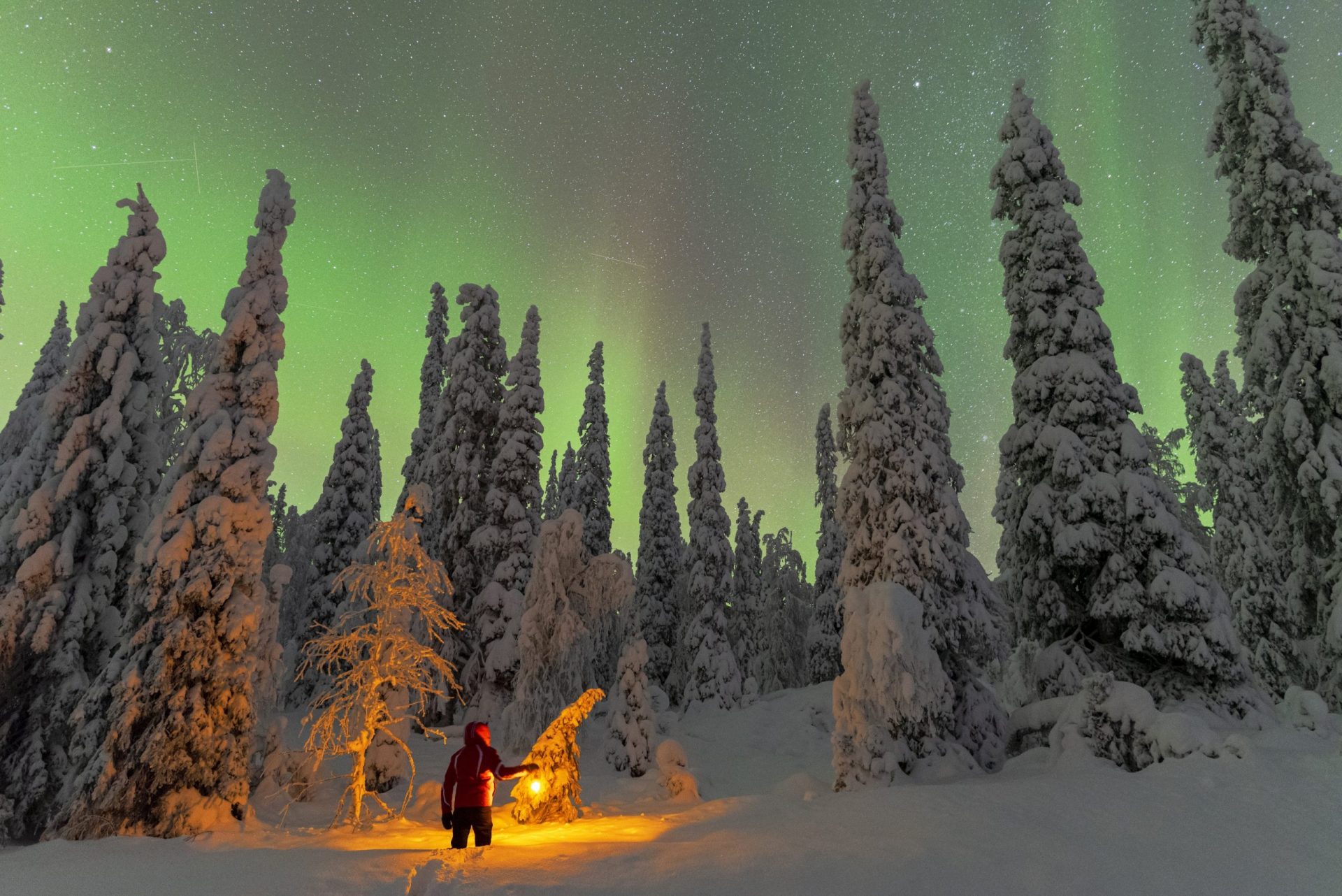 Artic Treehouse Finlande aurore boreale foret