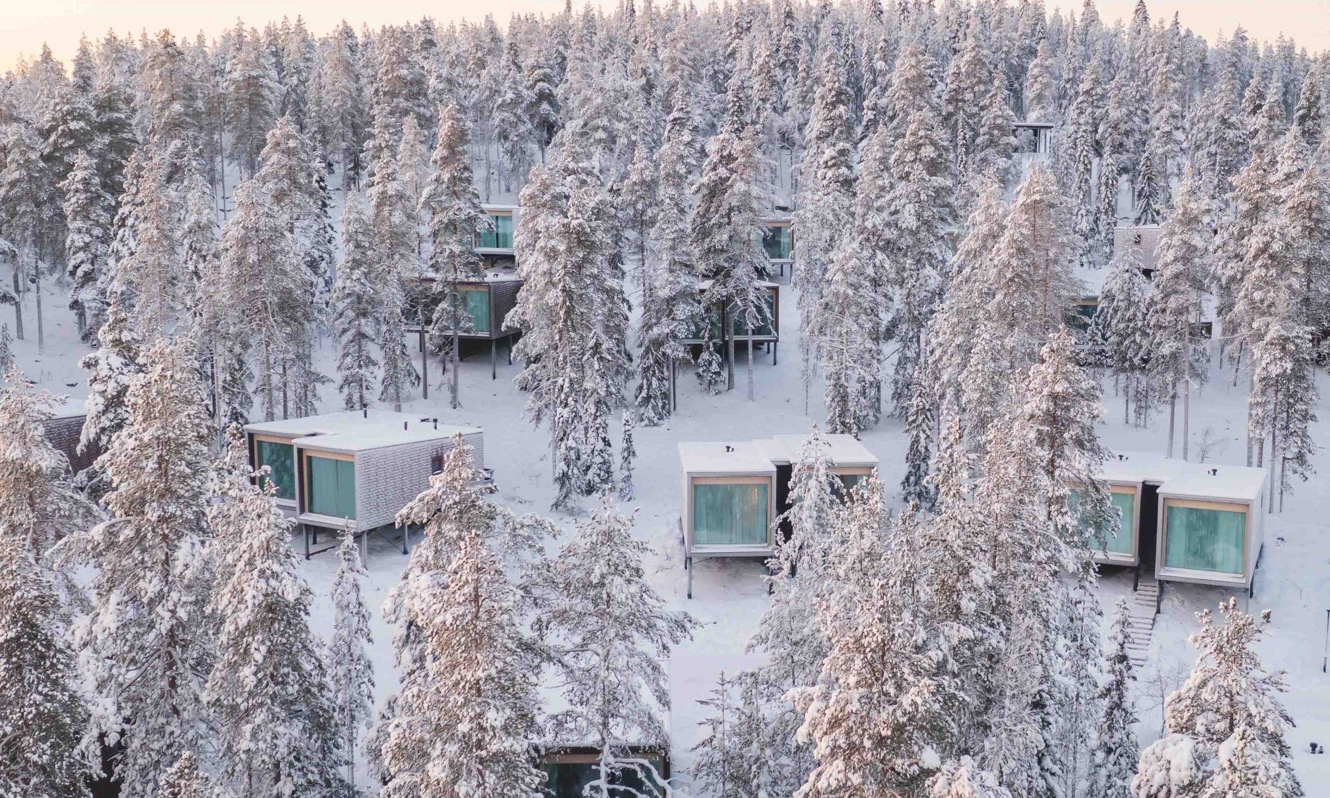 Artic Treehouse