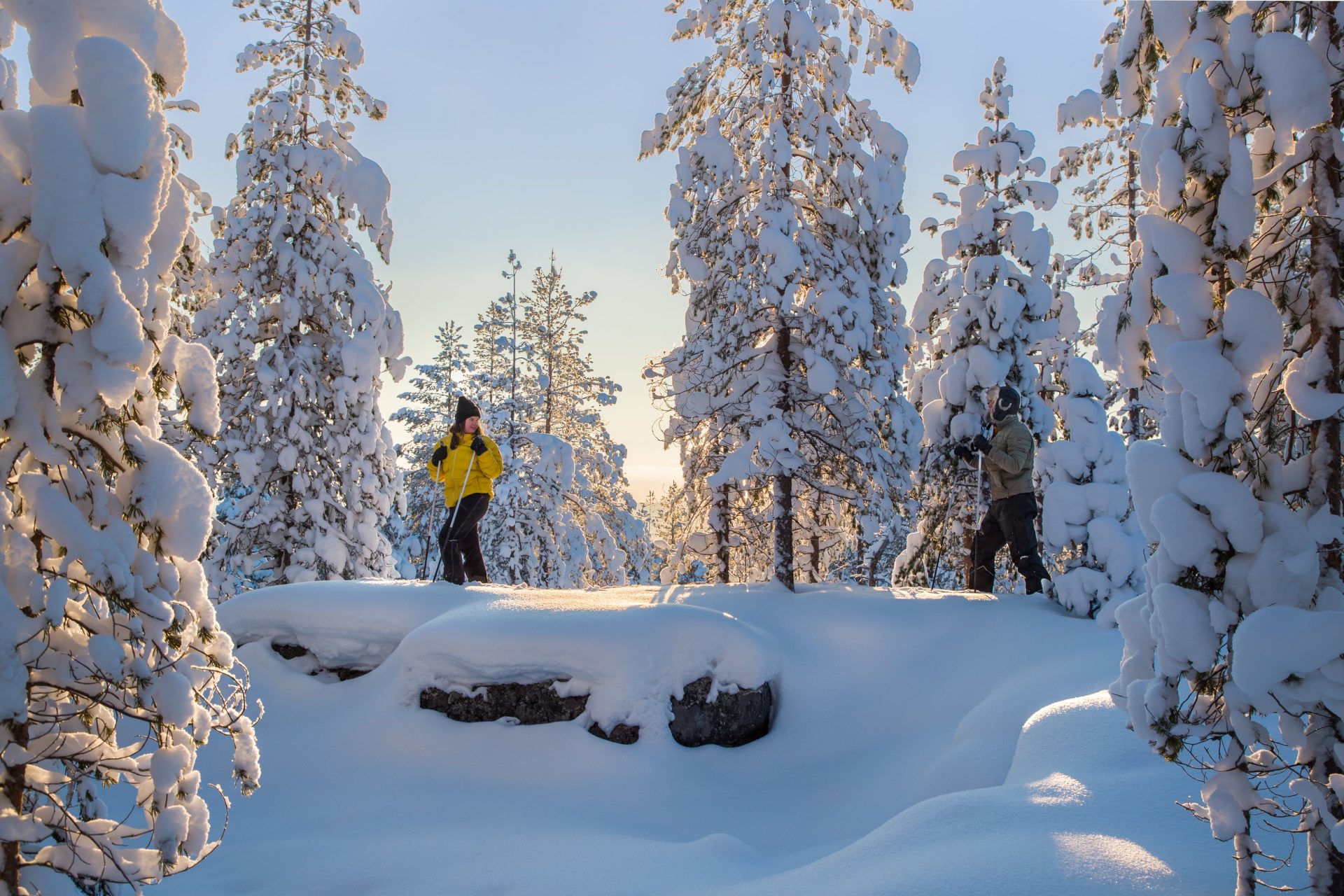 Artic Treehouse Finlande ski foret