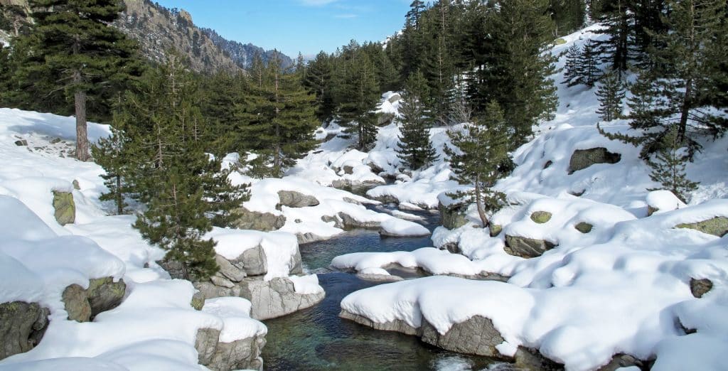 Snowy,Lansdscape,With,Trees,And,A,Little,Stream,In,Winter,