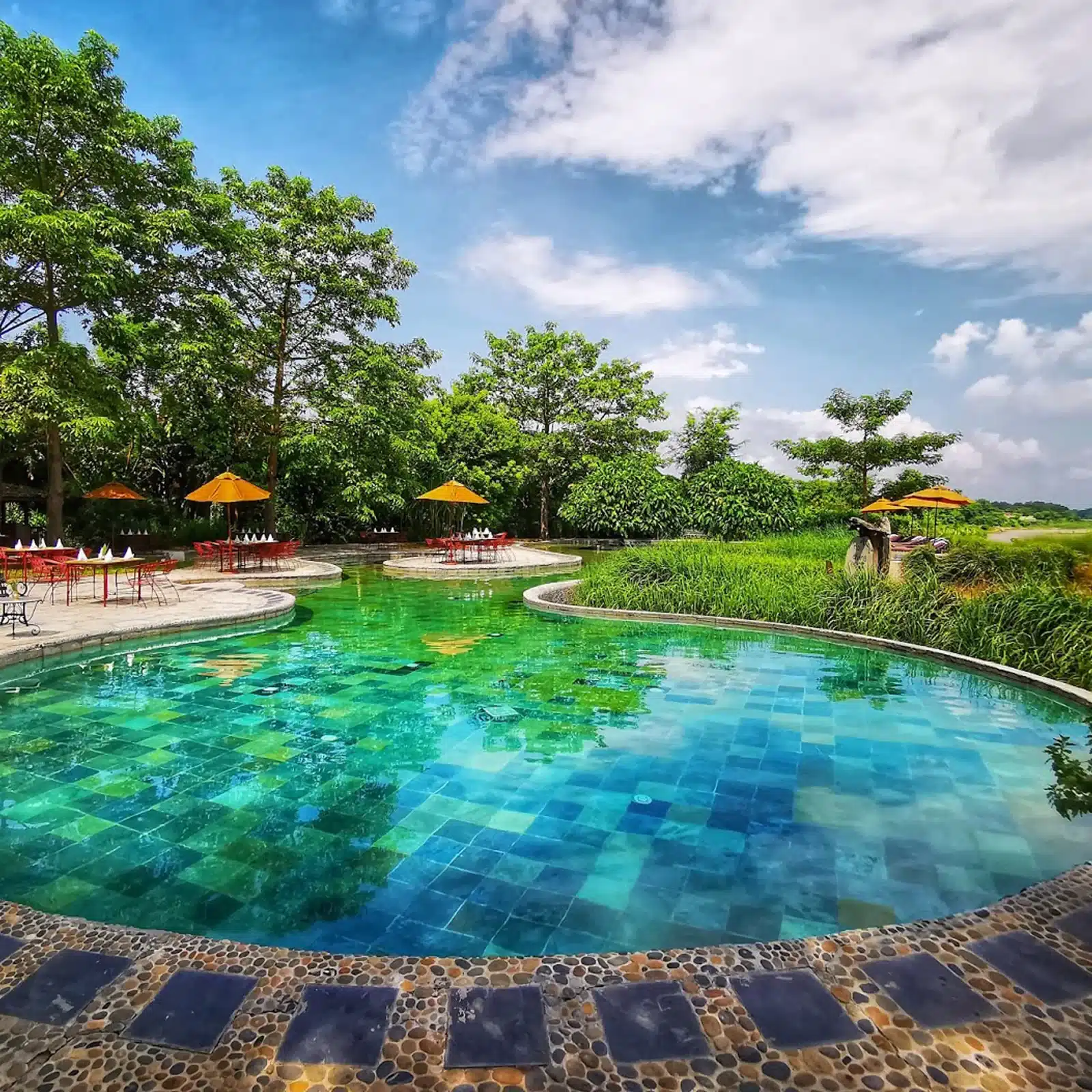 Bahari Jungle Lodge Nepal hotel piscine