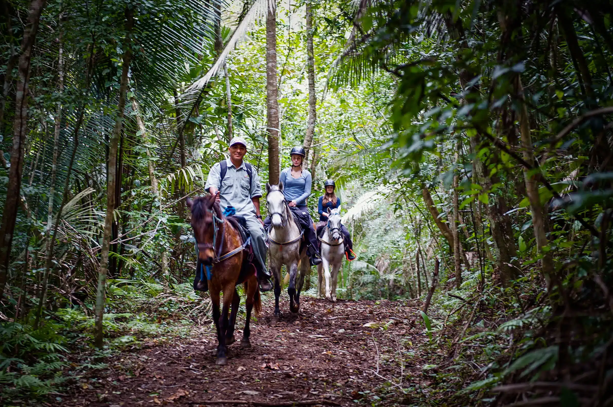 Blancaneaux lodge Belize randonnée à cheval