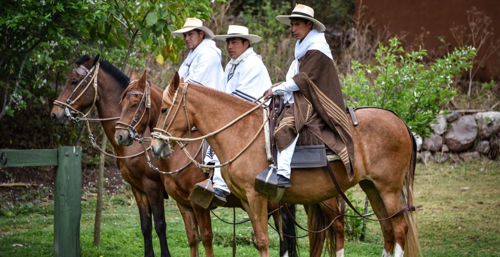 Hacienda,Huayoccari,,Cusco,,Peru, ,Oct,13,,2018:,Peruvian,Paso
