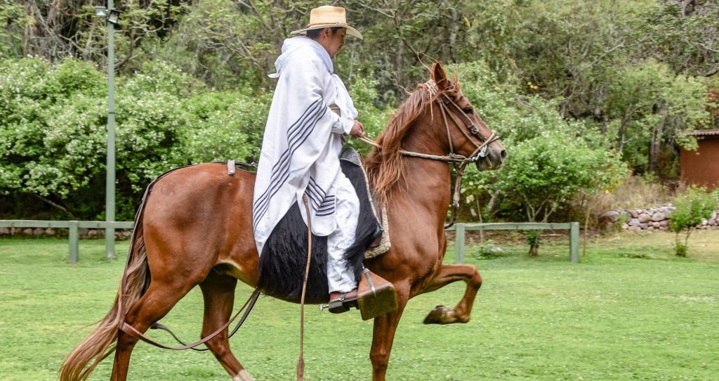 Hacienda,Huayoccari,,Cusco,,Peru, ,Oct,13,,2018:,Peruvian,Paso