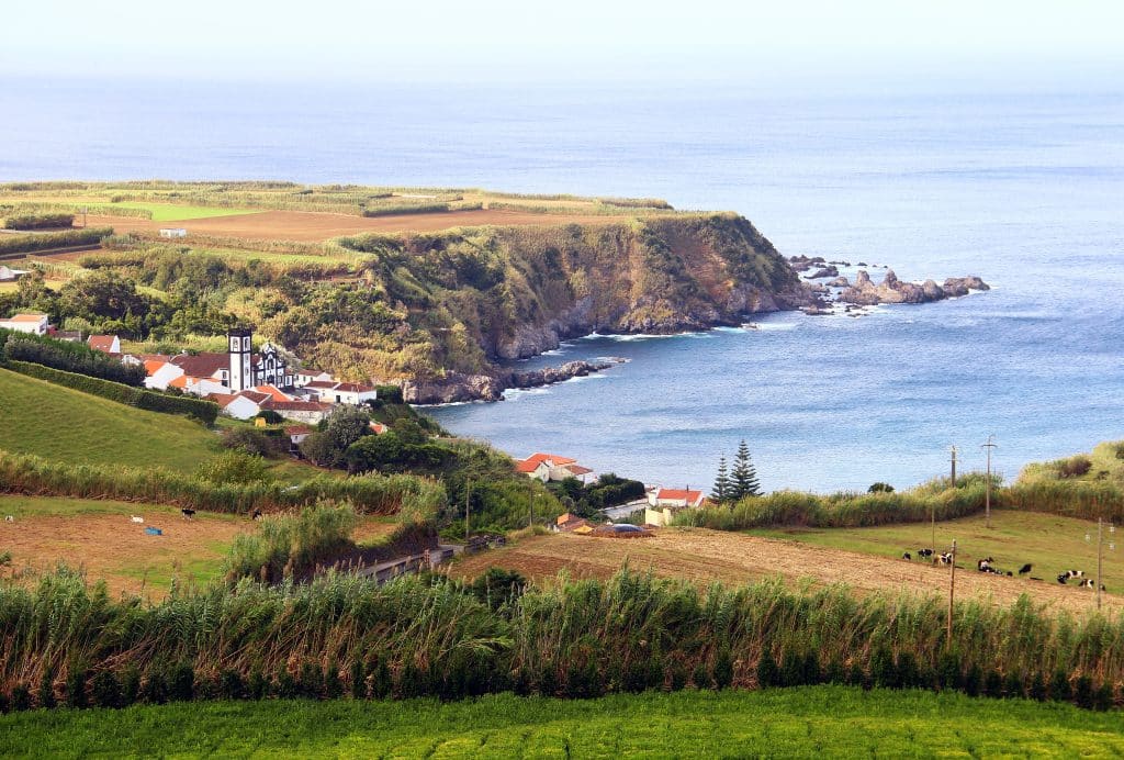 Tea,Plantation,And,Small,Village,Of,Porto,Formoso,,Sao,Miguel