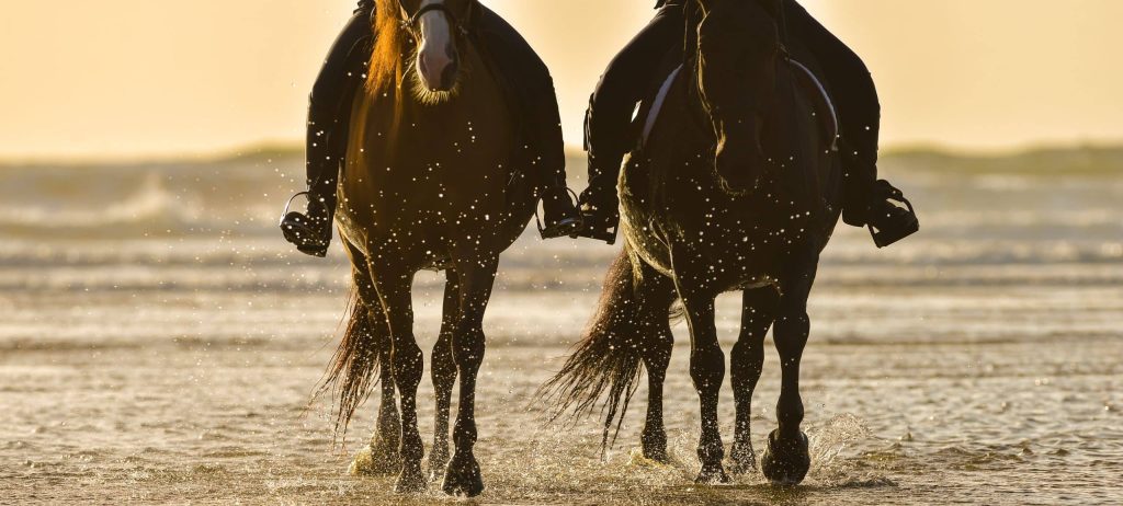 Horse,Riding,On,The,Beach,At,Sunset,,France