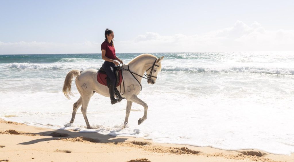 Comporta cheval portugal