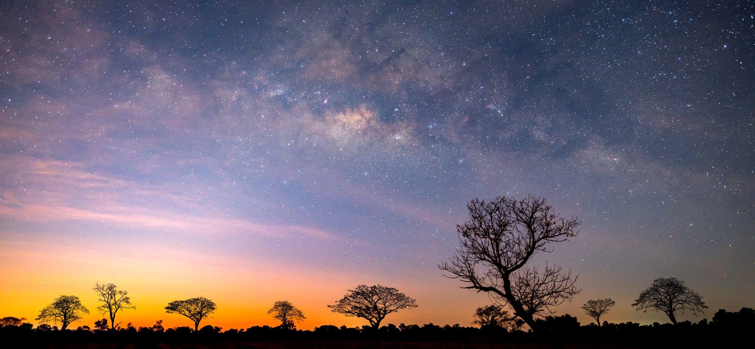 Dans la nature, sous les étoiles