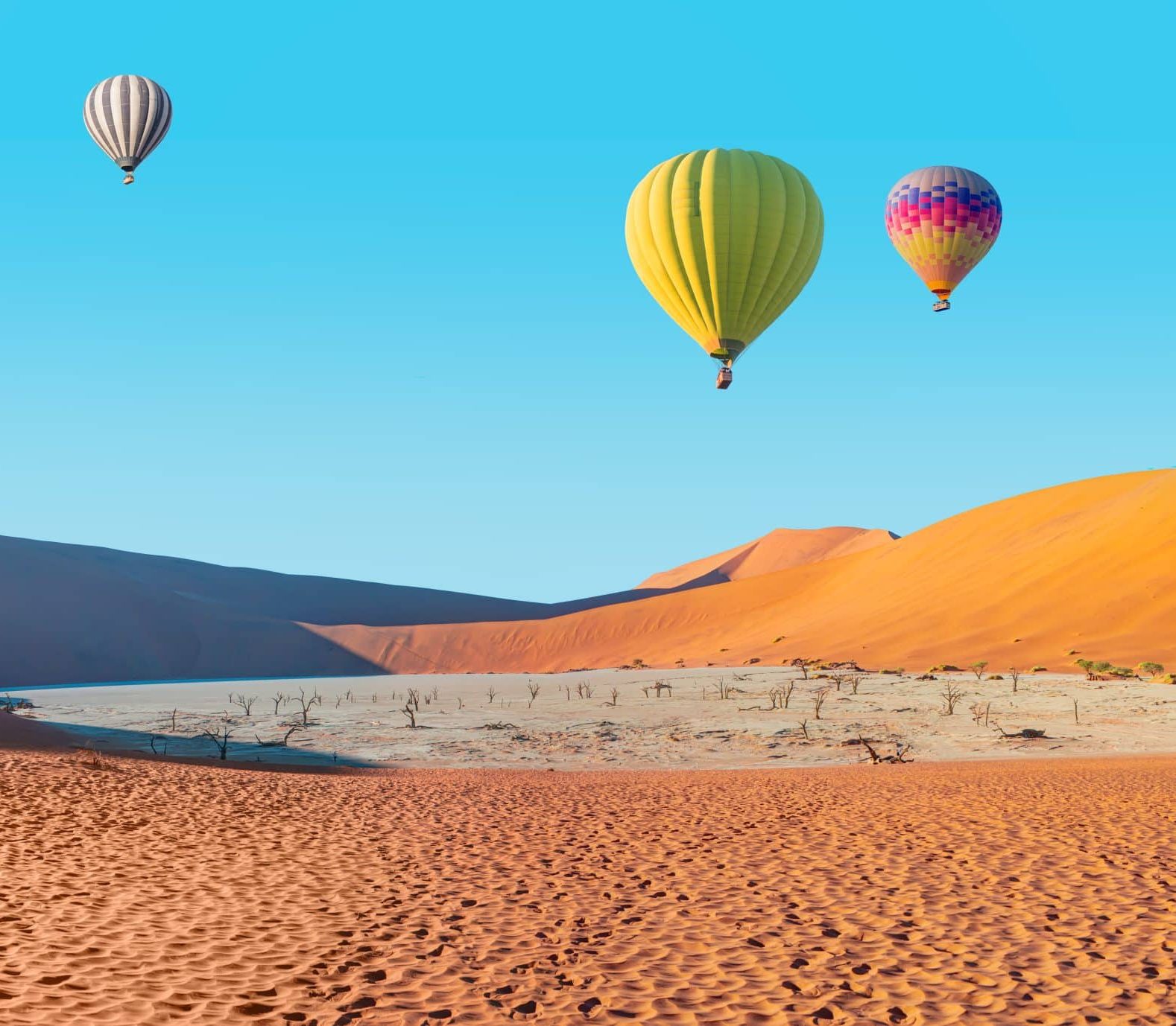 Hot,Air,Balloon,Flying,Over,Dead,Trees,In,Dead,Vlei