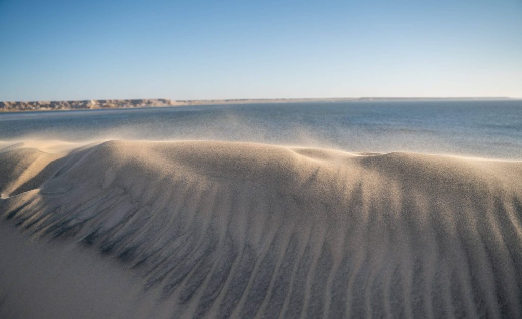 Where,The,Atlantic,Meets,The,Sahara